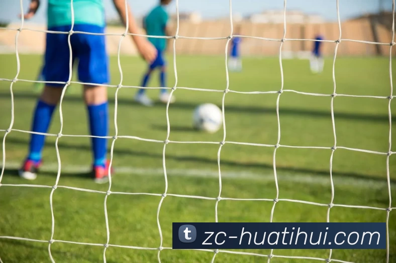 华体会体育平台生态图