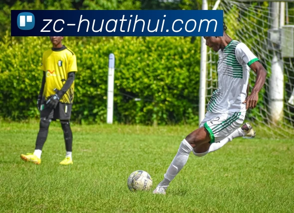 华体会体育APP 封面图